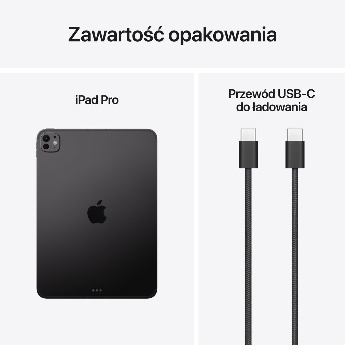 iPad Pro 11" M2 Wi-Fi Srebrny - zestaw