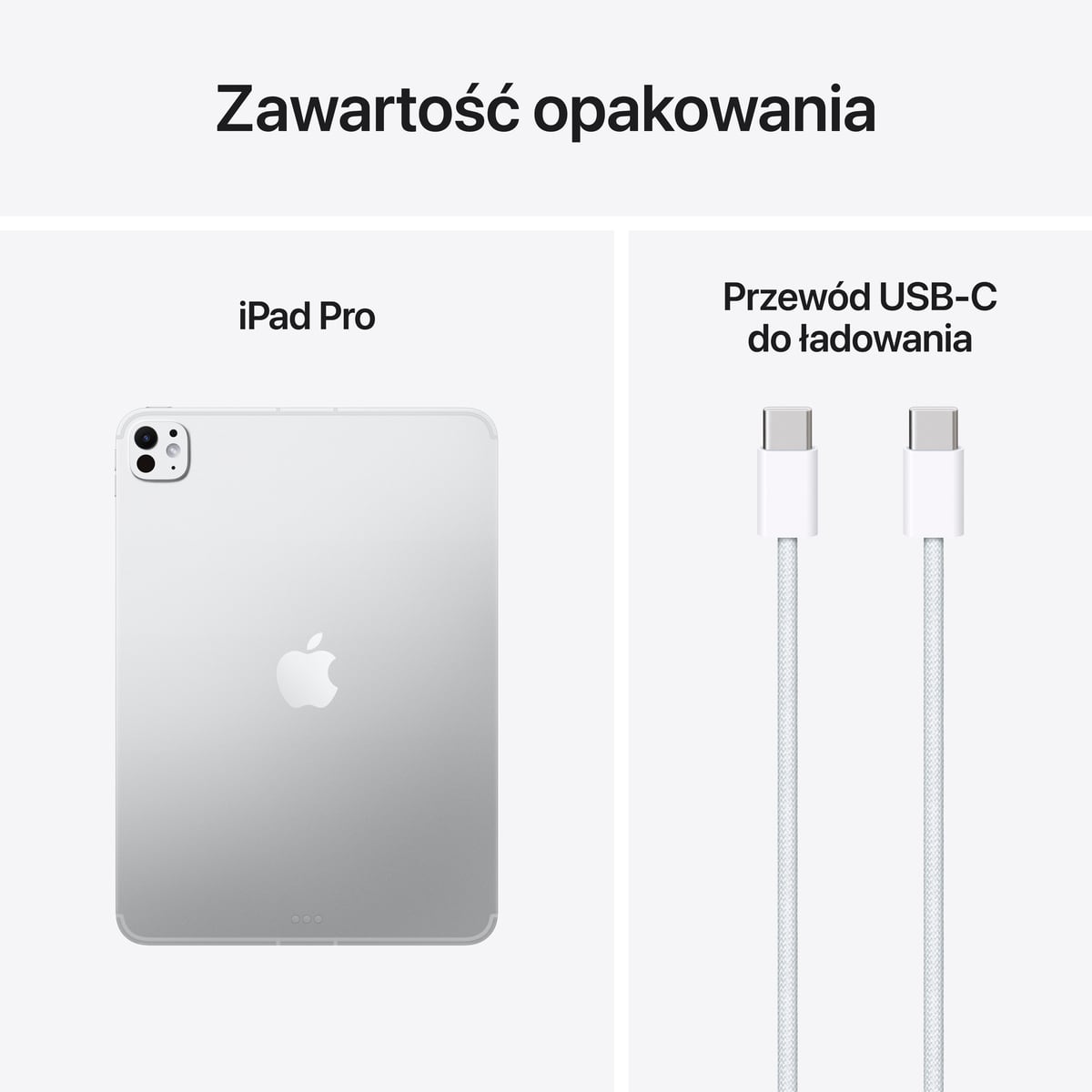 iPad Pro 11" M2 Wi-Fi Srebrny - zestaw