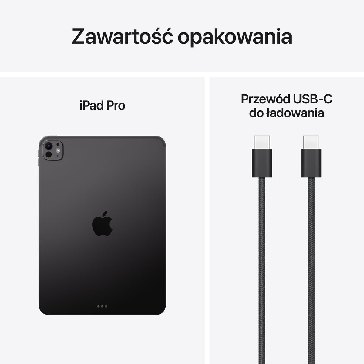 iPad Pro 11" M2 Wi-Fi Srebrny - zestaw