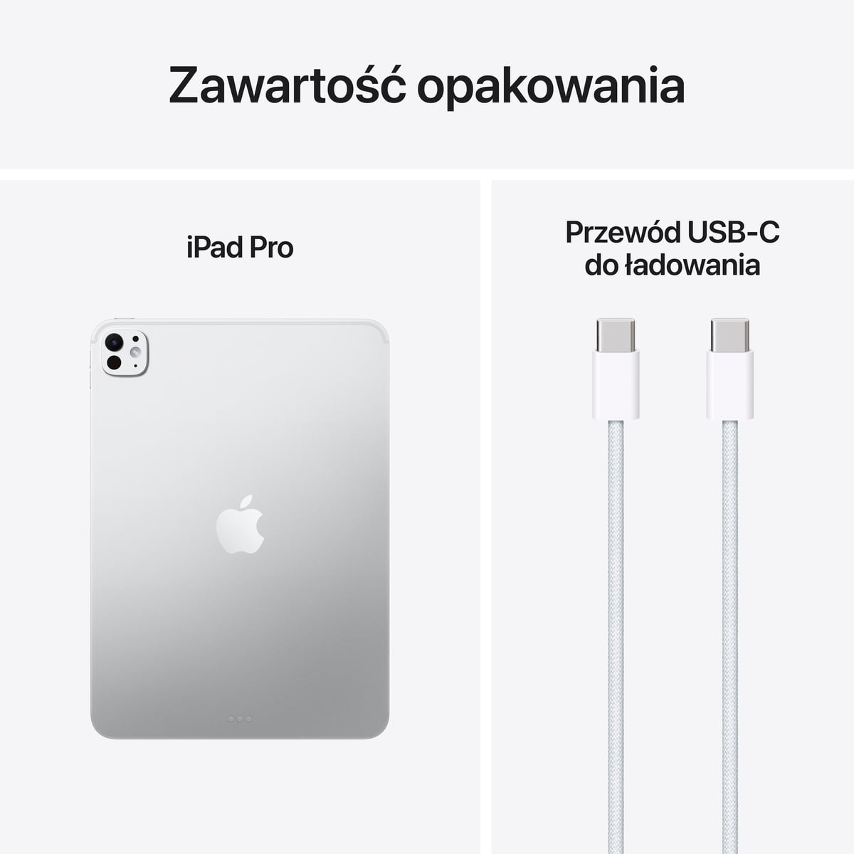 iPad Pro 11" M2 Wi-Fi Srebrny - zestaw
