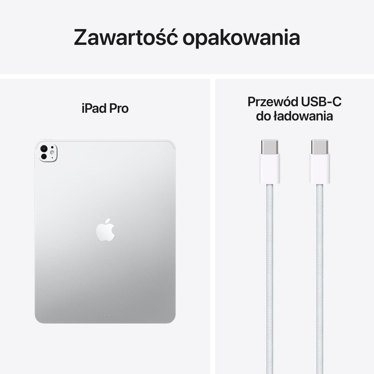 iPad Pro 11" M2 Wi-Fi Srebrny - zestaw