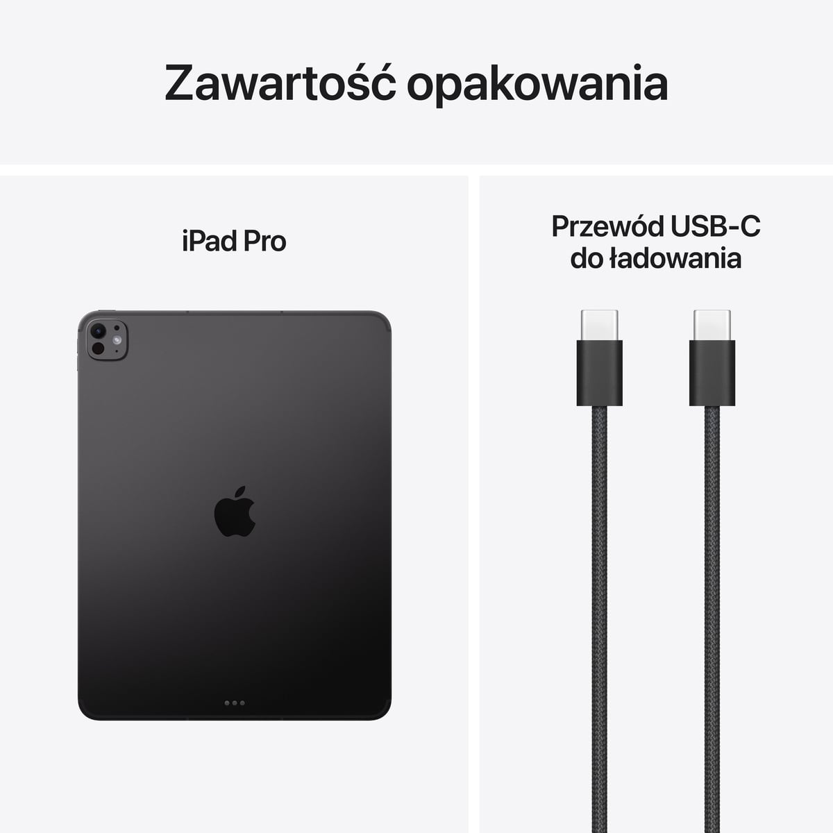 iPad Pro 11" M2 Wi-Fi Srebrny - zestaw