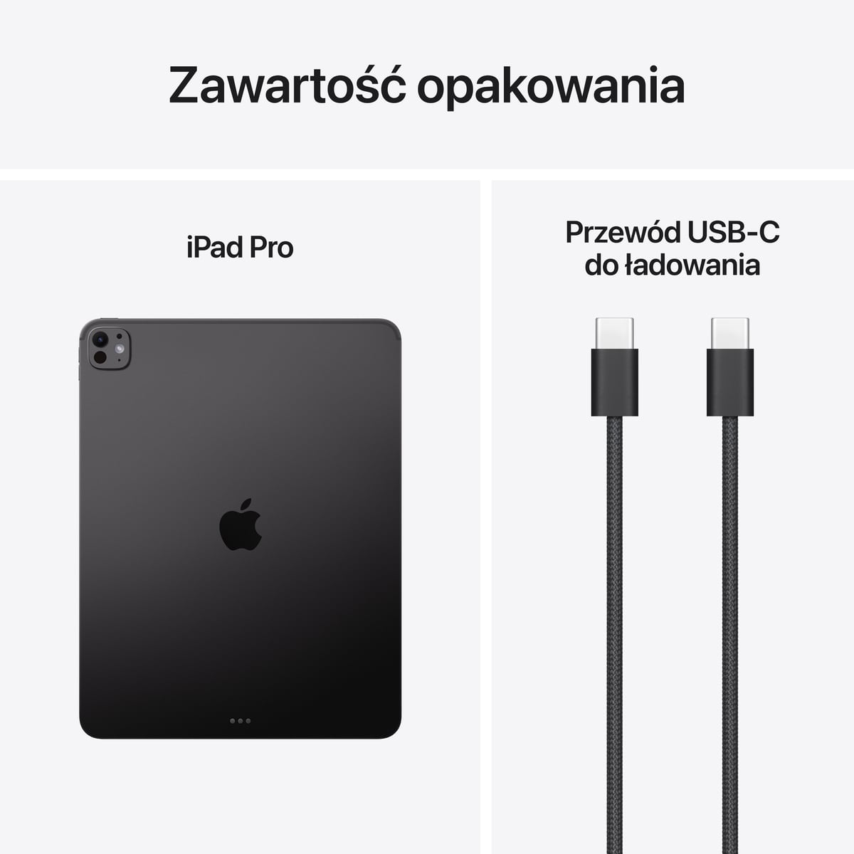 iPad Pro 11" M2 Wi-Fi Srebrny - zestaw