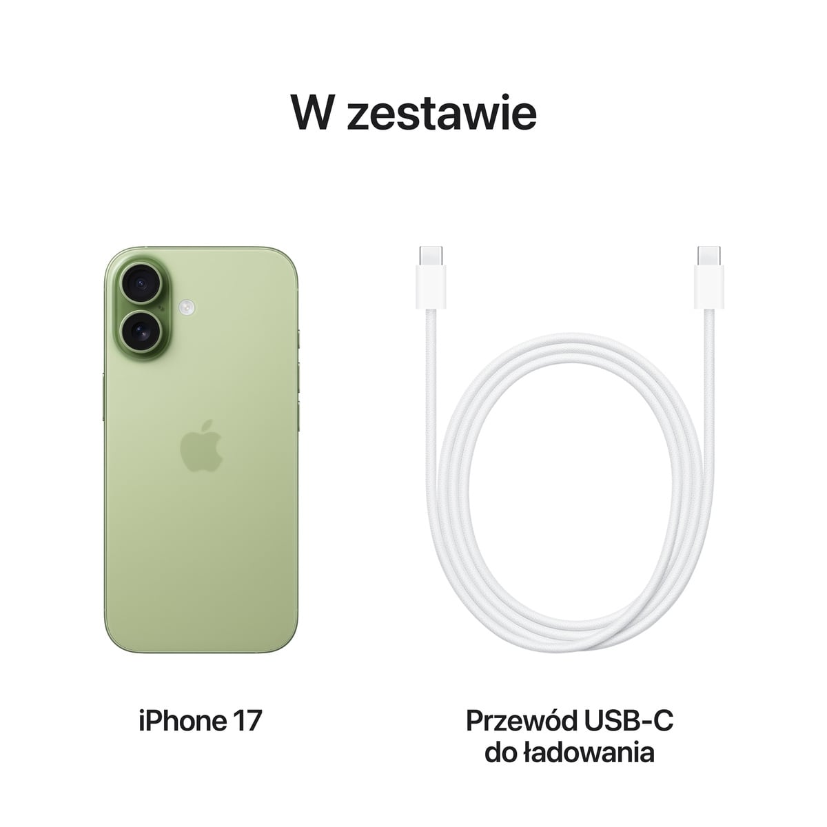 Apple iPhone 17 256GB Szałwia (Sage) - informacje o produkcie