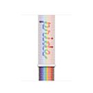 Apple Opaska sportowa w kolorze Pride Edition do koperty 41 mm - rozmiar uniwersalny - MN6K3ZM/A