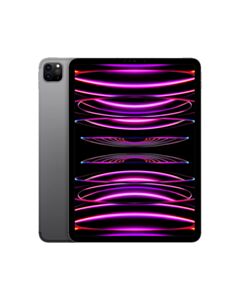 Apple iPad Pro 11 M2 2TB Wi-Fi + Cellular (5G) Gwiezdna Szarość (Space Grey)
