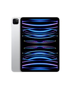 Apple iPad Pro 11 M2 2TB Wi-Fi + Cellular (5G) Srebrny (Silver)