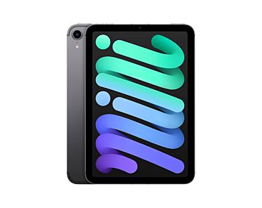 Apple iPad mini 6 8,3" 256GB Wi-Fi + Cellular (5G) Gwiezdna szarość (Space Gray)