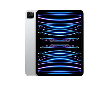 Apple iPad Pro 11 M2 2TB Wi-Fi + Cellular (5G) Srebrny (Silver)