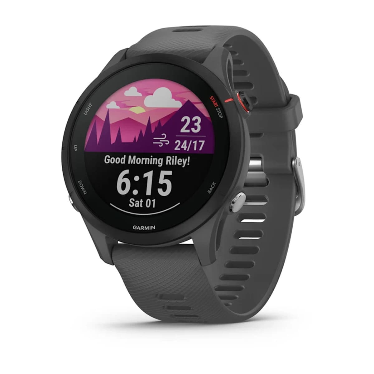 Garmin Forerunner 255 Garmin Forerunner 255