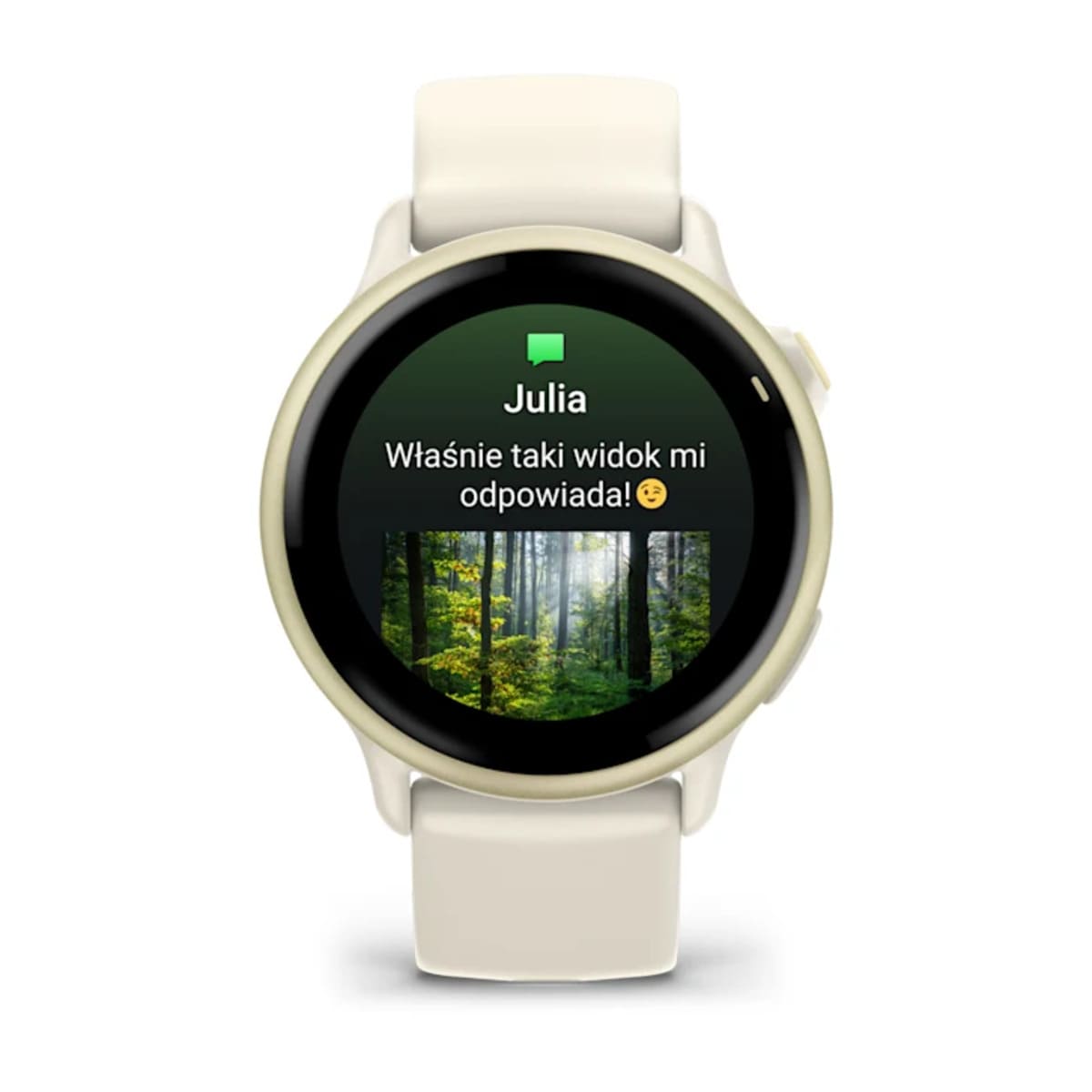 Garmin epix™ Pro (Gen 2) 51 mm Garmin epix™ Pro (Gen 2) 51 mm