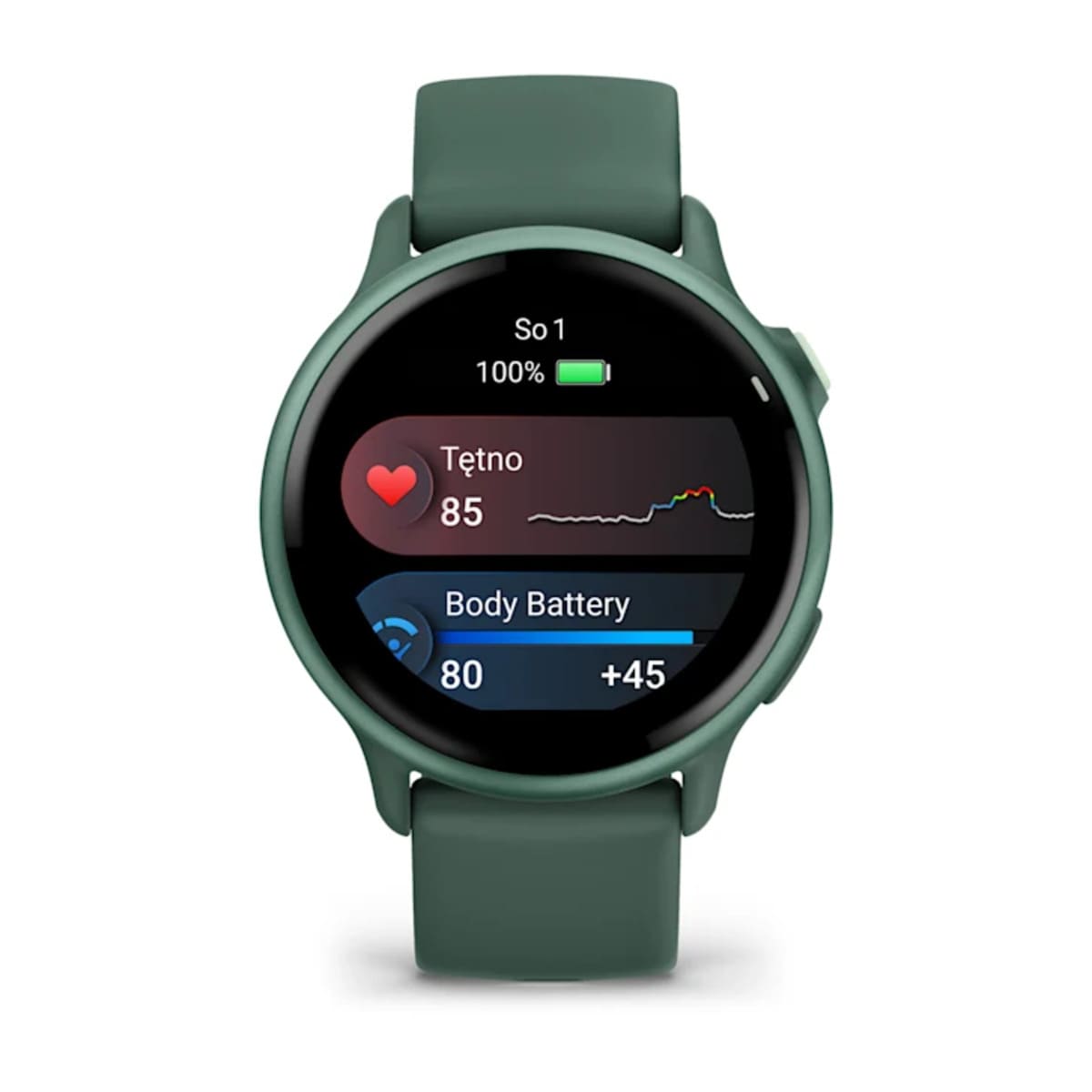 Garmin epix™ Pro (Gen 2) 51 mm Garmin epix™ Pro (Gen 2) 51 mm