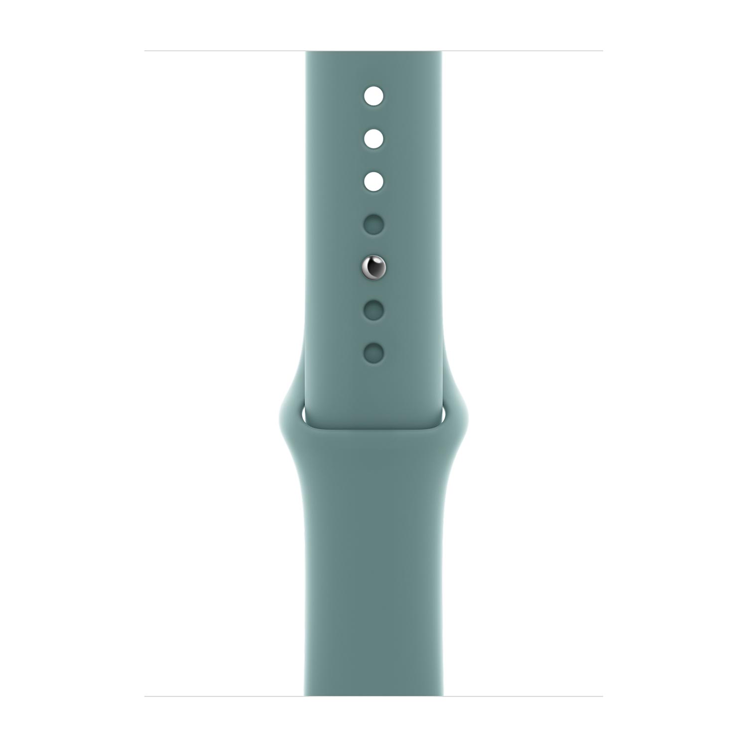 Skórzany pasek z klamrą klasyczną do Apple Watch
