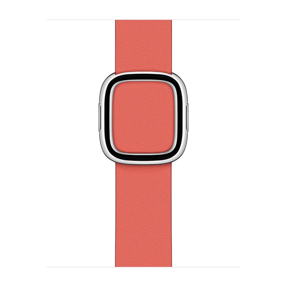 Pasek z klamrą nowoczesną do Apple Watch