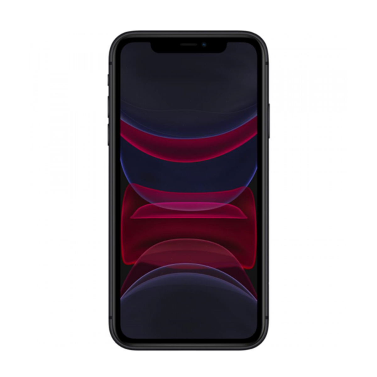 iPhone 11 iPhone 11
